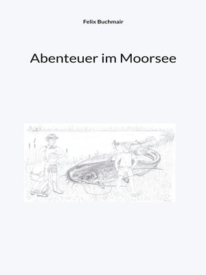 cover image of Abenteuer im Moorsee